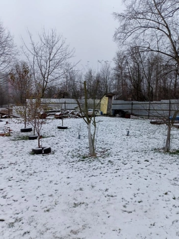 Купить дом в районе Невский в Санкт-Петербурге. Вариант № 23852, 3, площадь -  квм, цена 11250000 рублей