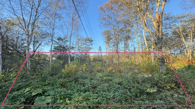 Купить земельный участок в Южно-Сахалинске. Вариант № 6816325, 0, площадь -  квм, цена 1100000 рублей