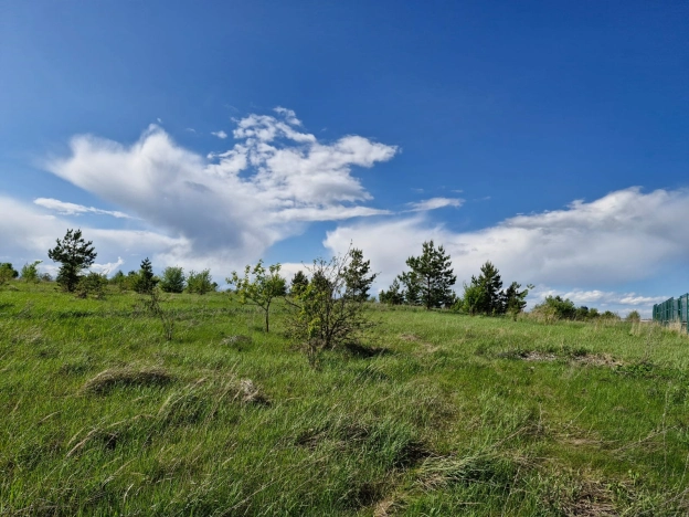 Купить земельный участок в Пензе. Вариант № 19534, 6, площадь -  квм, цена 700000 рублей