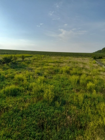 Купить земельный участок в Стерлитамаке. Вариант № 52465, 0, площадь -  квм, цена 1750000 рублей