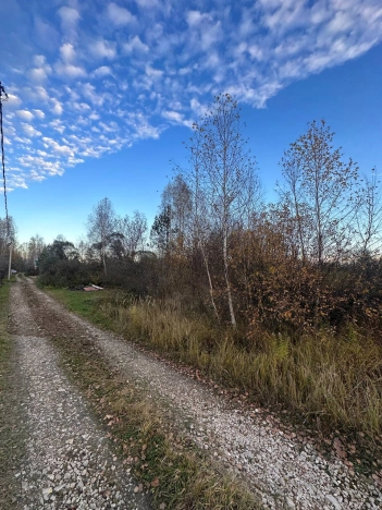 Купить земельный участок на улице Центральная в Нижегородской области. Вариант № 18234, 6, площадь -  квм, цена 350000 рублей
