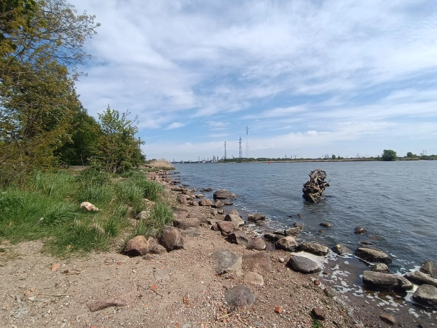 Купить земельный участок на улице Цветочная в Калининграде. Вариант № 48024, 5, площадь -  квм, цена 500000 рублей