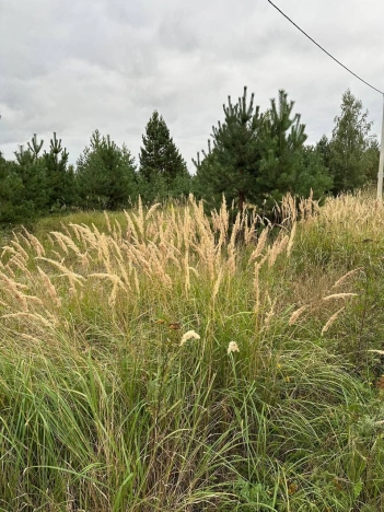 Купить земельный участок в Воронеже. Вариант № 3780263, 7, площадь - квм, цена 17980000 рублей