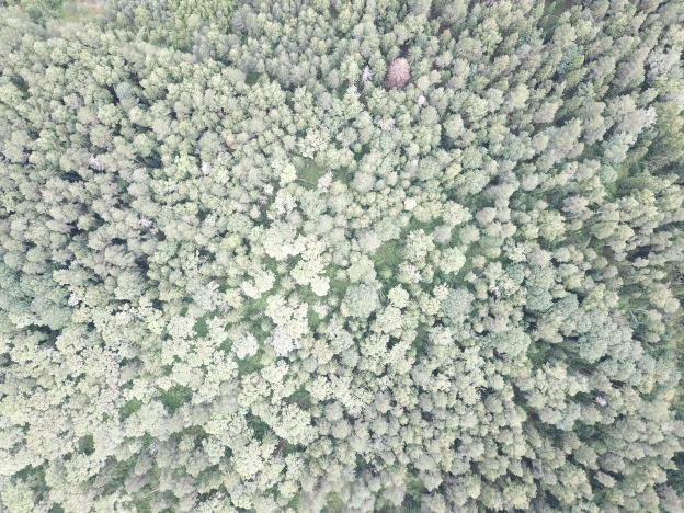 Купить земельный участок в районе Октябрьский в Владимире. Вариант № 22029, 1, площадь -  квм, цена 3200000 рублей