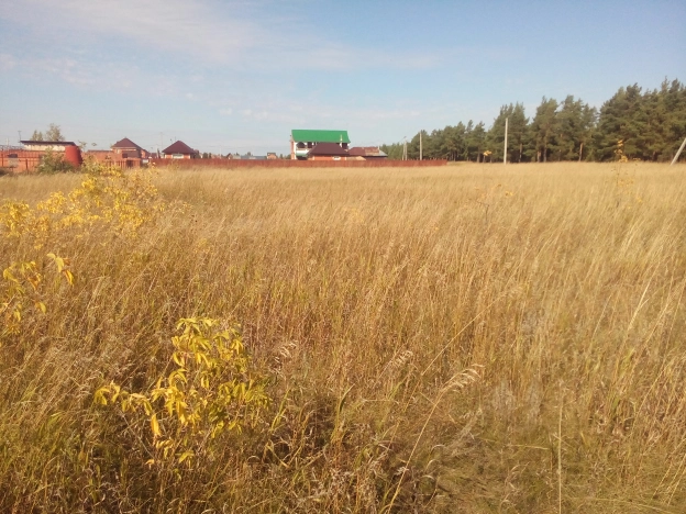 Купить земельный участок в Омской области. Вариант № 2737, 6, площадь -  квм, цена 1390000 рублей