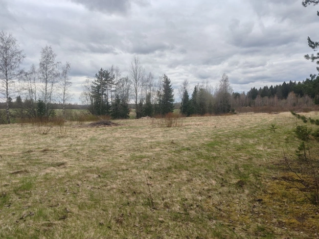 Купить земельный участок в Ленинградской области. Вариант № 8320008, 4, площадь -  квм, цена 1300000 рублей