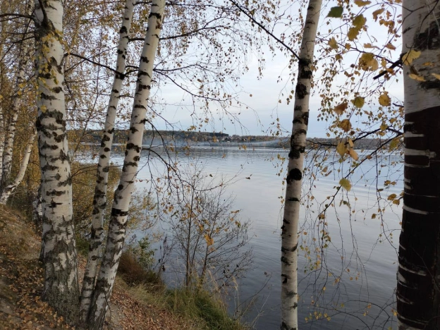 Купить земельный участок на улице 1 Мая в Нижегородской области. Вариант № 18655, 0, площадь -  квм, цена 2650000 рублей