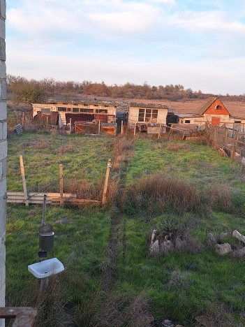 Купить дачу в Краснодарском крае. Вариант № 17218, 2, площадь -  квм, цена 1300000 рублей