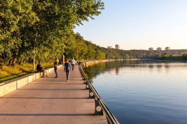 Купить однокомнатную квартиру в районе Филёвский Парк в Москве. Вариант № 2955994, 14, площадь -  квм, цена 20000000 рублей