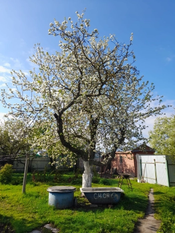 Купить дом в Лакинске. Вариант № 47331, 16, площадь -  квм, цена 3200000 рублей
