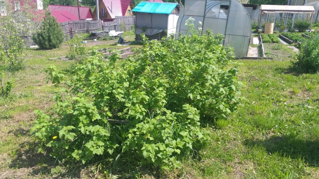 Купить земельный участок в Новосибирске. Вариант № 46029, 10, площадь -  квм, цена 2250000 рублей