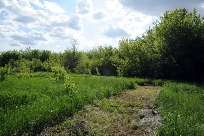 Купить земельный участок в Воронеже. Вариант № 265539, 7, площадь -  квм, цена 750000 рублей