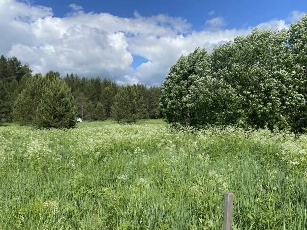 Купить земельный участок в Вологодской области. Вариант № 8738, 12, площадь -  квм, цена 420000 рублей