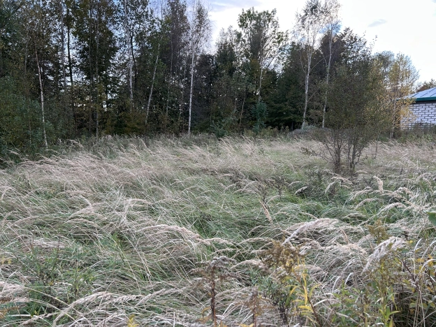 Купить земельный участок в Калининграде. Вариант № 7496964, 4, площадь -  квм, цена 480000 рублей