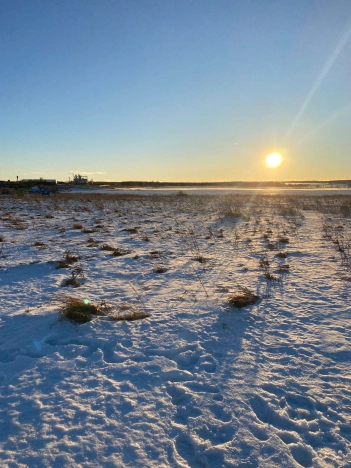 Купить земельный участок в Вологодской области. Вариант № 22309, 10, площадь -  квм, цена 6000000 рублей