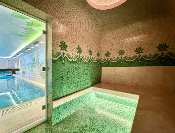 Купить дом у метро Румянцево в Москве. Вариант № 17471, 29, площадь -  квм, цена 379990000 рублей