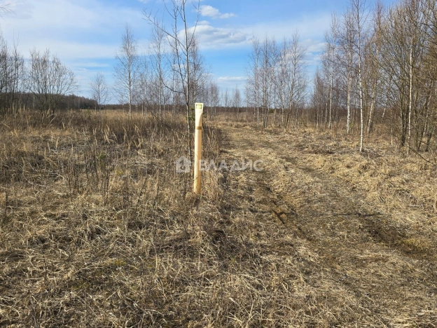 Купить земельный участок в Владимире. Вариант № 2657821, 2, площадь -  квм, цена 1000000 рублей