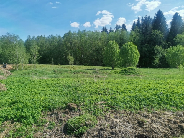Купить земельный участок в Санкт-Петербурге. Вариант № 37514, 1, площадь -  квм, цена 2600000 рублей