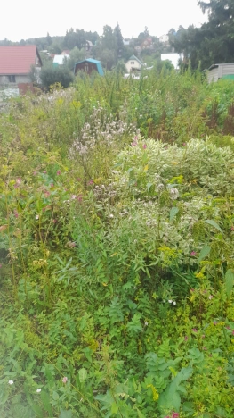 Купить земельный участок в районе Советский в Новосибирске. Вариант № 8091, 8, площадь - квм, цена 730000 рублей