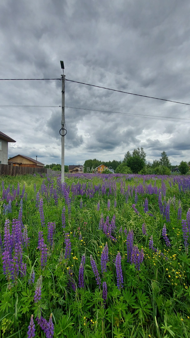 Photo https://36000382-a1c2-4a8a-a109-3fc3bfc73cf7.selcdn.net/App/Entity/ObjectRealty/ObjectRealty/YC/b2ea1607-e899-46ac-82f2-16c1086d62ac/E2IfoaRkRsPSHSr2ap74PSnGIirfmQ5h5OlPwuLa.jpg.compressed.webp