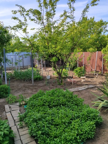 Купить дом в Микрорайоне Восточный, Батайск в Батайске. Вариант № 26881, 14, площадь -  квм, цена 4300000 рублей