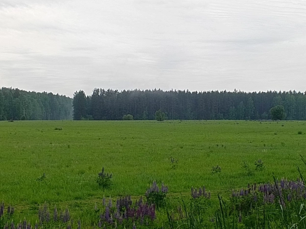 Купить земельный участок на улице 1 Мая в Нижегородской области. Вариант № 46872, 0, площадь -  квм, цена 18000000 рублей