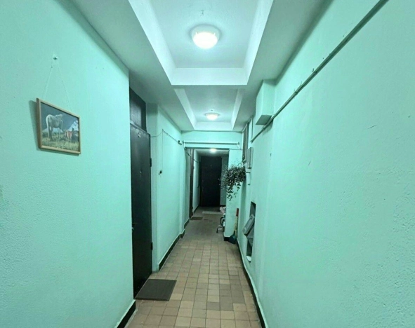 Купить квартиру в Москве. Вариант № 3020191, 14, площадь -  квм, цена 15600000.0000 рублей