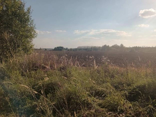 Купить земельный участок на улице Вишнёвая в Суздале. Вариант № 14559, 7, площадь -  квм, цена 568000 рублей