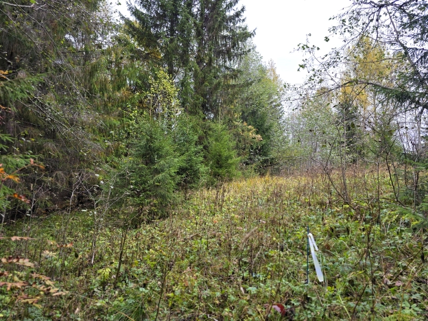 Купить земельный участок в Республике Карелия. Вариант № 8166312, 9, площадь -  квм, цена 19000000 рублей