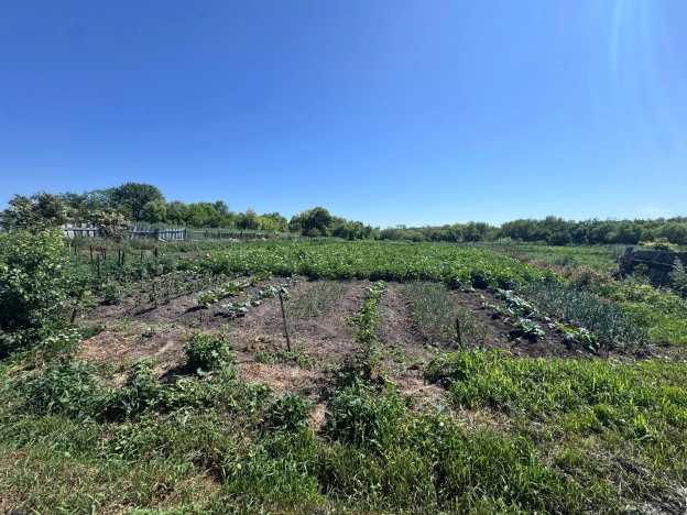 Купить дом на улице Амурская в Амурской области. Вариант № 60789, 20, площадь -  квм, цена 1000000 рублей