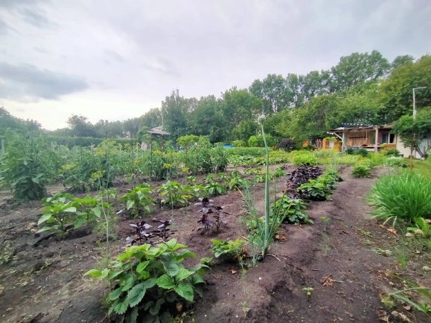 Купить земельный участок в Воронеже. Вариант № 10992, 3, площадь -  квм, цена 1500000 рублей