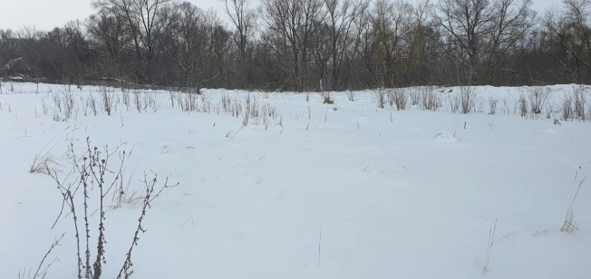 Купить земельный участок в Пензе. Вариант № 28492, 5, площадь -  квм, цена 1330000 рублей