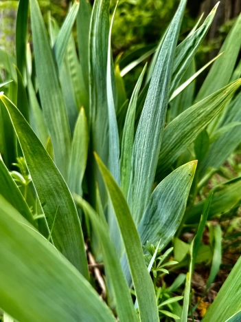 Купить дом на улице 2-й переулок Гагарина в Старом Осколе. Вариант № 40759, 19, площадь -  квм, цена 750000 рублей
