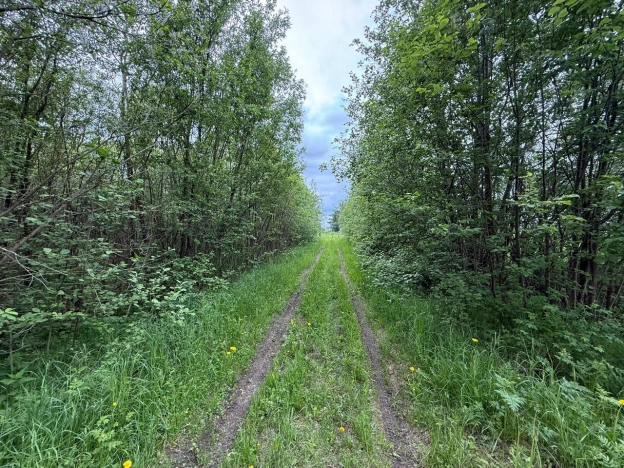 Купить земельный участок в Вологодской области. Вариант № 50042, 3, площадь -  квм, цена 35095000 рублей