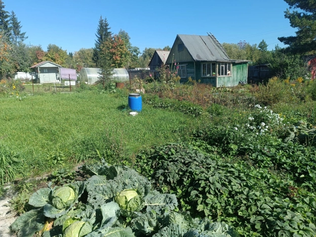 Купить земельный участок в Искитиме. Вариант № 2932860, 3, площадь -  квм, цена 700000 рублей