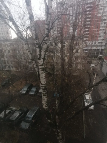 Купить однокомнатную квартиру в СЗАО в Москве. Вариант № 8220554, 11, площадь -  квм, цена 12500000 рублей