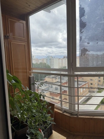 Купить однокомнатную квартиру в Новосибирской области. Вариант № 10339434, 13, площадь -  квм, цена 4950000 рублей