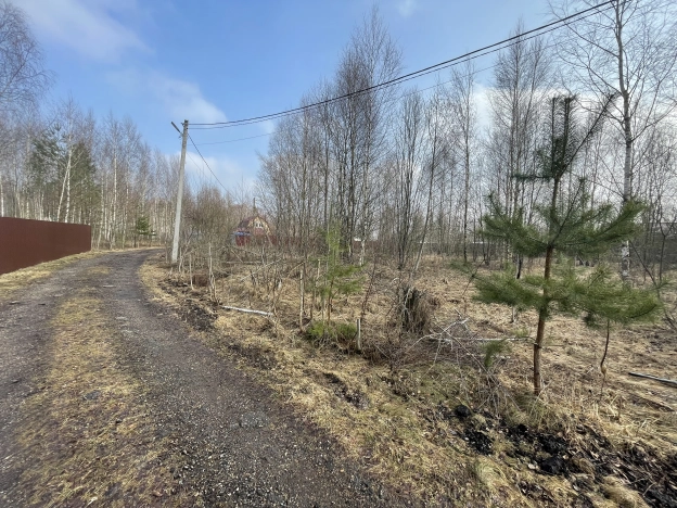 Купить земельный участок в Новгородской области. Вариант № 30069, 5, площадь -  квм, цена 250000 рублей