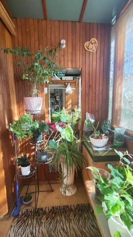 Купить трехкомнатную квартиру в районе Кировский в Ростове-на-Дону. Вариант № 914421, 8, площадь -  квм, цена 7800000 рублей