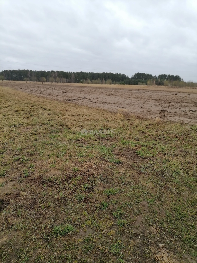 Photo https://36000382-a1c2-4a8a-a109-3fc3bfc73cf7.selcdn.net/App/Entity/ObjectRealty/ObjectRealty/YF/2a423937-a800-40d8-9ff7-1e24d49d4d0e.jpg.compressed.webp