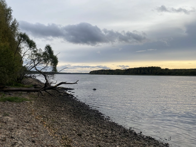 Купить земельный участок на улице Загородная в Ярославской области. Вариант № 18994, 4, площадь -  квм, цена 8000000 рублей