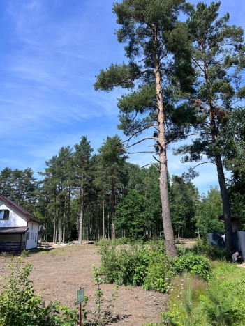 Купить земельный участок у метро Рыбацкое в Ленинградской области. Вариант № 2030388, 4, площадь -  квм, цена 3390000 рублей