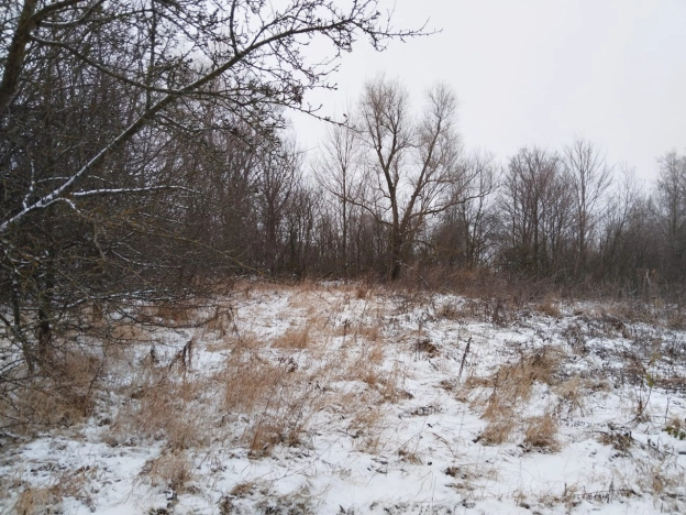 Купить земельный участок в Тульской области. Вариант № 19500, 12, площадь -  квм, цена 495000 рублей