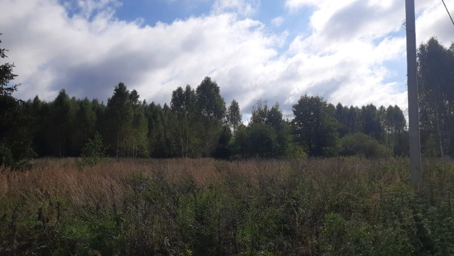 Купить земельный участок в Владимире. Вариант № 3155308, 21, площадь -  квм, цена 680000 рублей