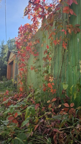 Купить земельный участок у метро Медведково в Королёве. Вариант № 13929, 3, площадь -  квм, цена 6000000 рублей