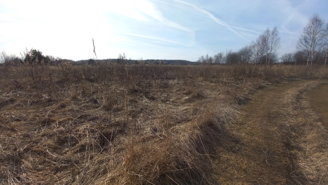 Купить земельный участок в Ярославской области. Вариант № 30989, 0, площадь -  квм, цена 4000000 рублей