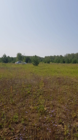 Купить земельный участок в Владимире. Вариант № 1428, 6, площадь -  квм, цена 480000 рублей