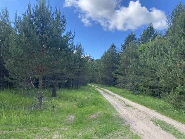 Купить земельный участок в Вологодской области. Вариант № 8738, 3, площадь -  квм, цена 420000 рублей