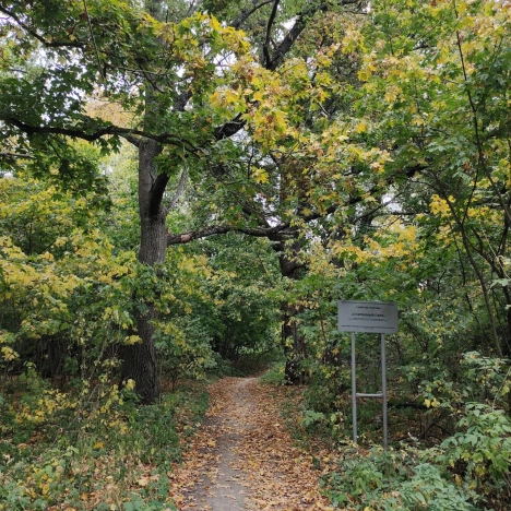 Купить дом в Воронеже. Вариант № 1296614, 3, площадь -  квм, цена 5500000 рублей