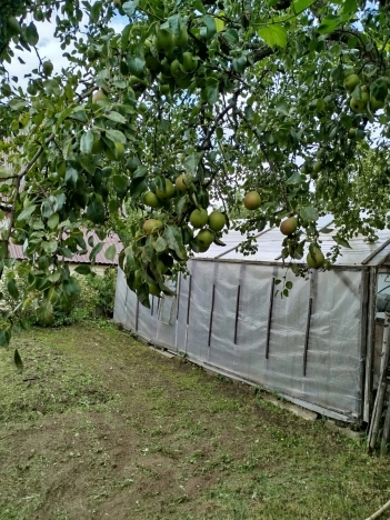 Купить дачу в Московской области. Вариант № 6182443, 12, площадь -  квм, цена 1980000 рублей